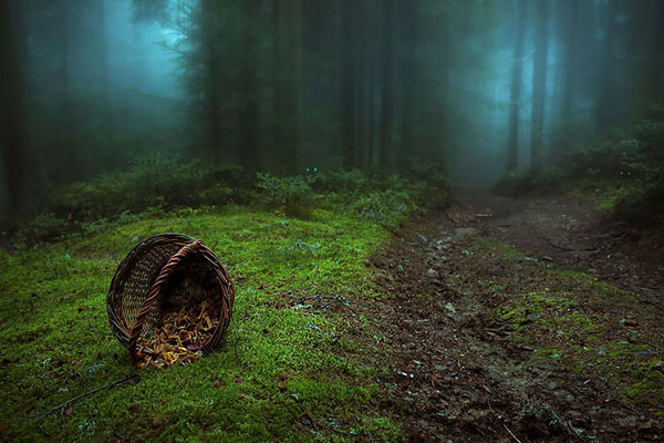 Τα πιο μυστήρια δάση όλων των εποχών [photos] - Φωτογραφία 9