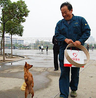 Σκυλίτσα πηγαίνει για ψώνια με την «τσάντα» της...(FOTO) - Φωτογραφία 1