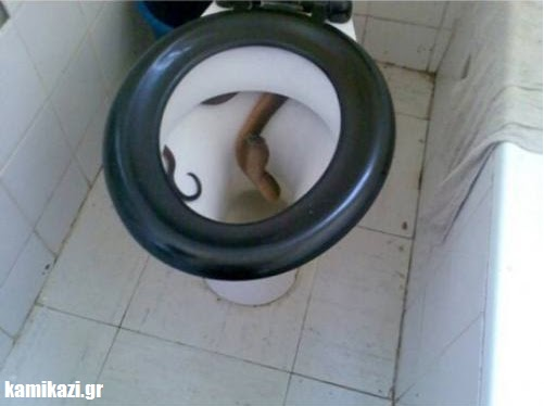 Δεν θα πιστέψετε τι έχει μέσα αυτή η τουαλέτα! (pics) - Φωτογραφία 3
