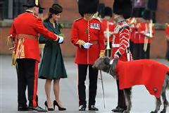 Η Δούκισσα και τα στρατά!