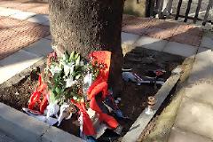 Θρήνος στη Λαμία για τον Χρήστο - Χαροπαλεύει η 21χρονη φίλη του