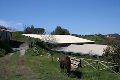 Χωρίς τον Πάχτα και χείρα κίνει...