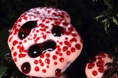 Το Facebook διέγραψε φωτογραφίες μωρού που πέθανε