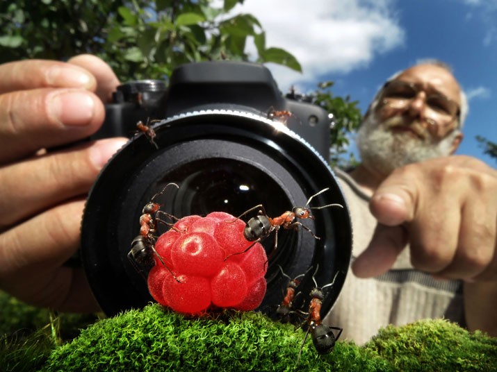 Μυρμήγκια εν δράσει – κι όμως δεν είναι Photoshop! - Φωτογραφία 1