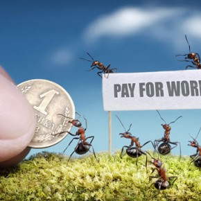 Μυρμήγκια εν δράσει – κι όμως δεν είναι Photoshop! - Φωτογραφία 8