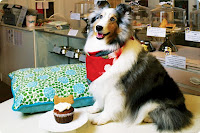 Αρτοποιείο για σκύλους - Φωτογραφία 1
