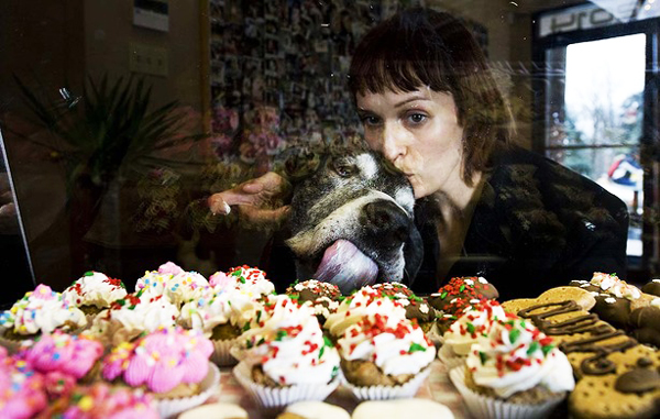 Αρτοποιείο για σκύλους - Φωτογραφία 10