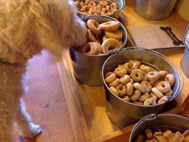 Αρτοποιείο για σκύλους - Φωτογραφία 7