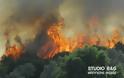 Μεγάλη φωτιά στην περιοχή Μπόρσα Αργολίδας