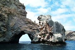 Το «νησί των πουλιών»!