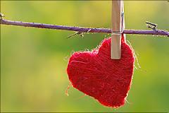 15 πράγματα που δεν ξέρατε για τον έρωτα