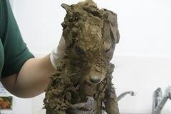 ΔΕΤΕ: Αλεπουδάκι σώθηκε από βέβαιο και αργό θάνατο