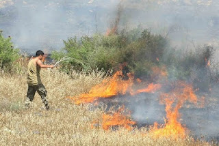 Πυρκαγιά στην νεκρή ζώνη κατασβέστηκε από κοινού με Ελληνοκύπριους και Τούρκους στρατιώτες (φωτογραφίες) - Φωτογραφία 1