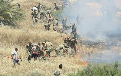 Πυρκαγιά στην νεκρή ζώνη κατασβέστηκε από κοινού με Ελληνοκύπριους και Τούρκους στρατιώτες (φωτογραφίες) - Φωτογραφία 2