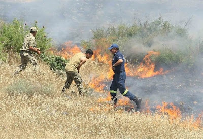 Πυρκαγιά στην νεκρή ζώνη κατασβέστηκε από κοινού με Ελληνοκύπριους και Τούρκους στρατιώτες (φωτογραφίες) - Φωτογραφία 5