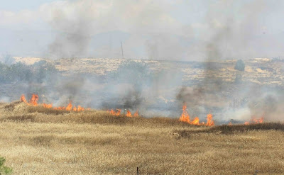 Πυρκαγιά στην νεκρή ζώνη κατασβέστηκε από κοινού με Ελληνοκύπριους και Τούρκους στρατιώτες (φωτογραφίες) - Φωτογραφία 6