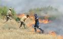 Πυρκαγιά στην νεκρή ζώνη κατασβέστηκε από κοινού με Ελληνοκύπριους και Τούρκους στρατιώτες (φωτογραφίες) - Φωτογραφία 5