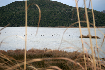 Πανέμορφος υδροβιότοπος δίπλα στην Ηγουμενίτσα είναι εγκαταλειμμένος! - Φωτογραφία 3