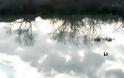 Πανέμορφος υδροβιότοπος δίπλα στην Ηγουμενίτσα είναι εγκαταλειμμένος! - Φωτογραφία 5