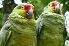 Η ΑΠΟΔΟΜΗΣΗ ΤΗΣ ΠΡΟΠΑΓΑΝΔΑΣ ΤΟΥ ΣΥΣΤΗΜΑΤΟΣ