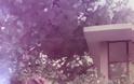 ΔΕΙΤΕ: Η Έλενα Παπαβασιλείου μελαχρινή στη μπανιέρα! - Φωτογραφία 3