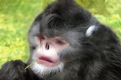 ΔΕΙΤΕ: Δέκα είδη που δεν γνωρίζαμε πως υπάρχουν