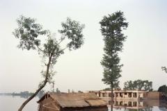 ΤΕΧΝΗ: Ένας γενναίος, πνιγμένος κόσμος