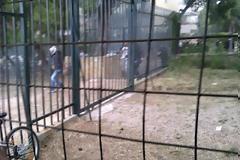 Απόγευμα τρόμου στην Πεύκη