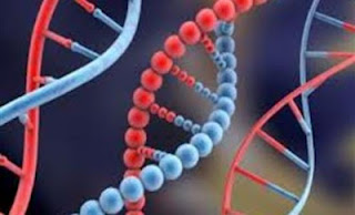 DNA σε ρόλο κομπιούτερ κάνει delete τα καρκινικά κύτταρα - Φωτογραφία 1