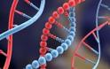 DNA σε ρόλο κομπιούτερ κάνει delete τα καρκινικά κύτταρα