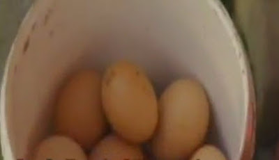 Παραλήπτης των αυγών, ο Βενιζέλος!! - Φωτογραφία 1