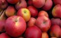 Μεταλλαγμένα μήλα που δεν «καφετίζουν» στην αγορά το 2014