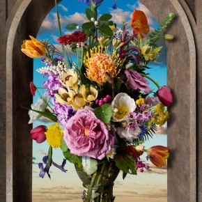 Νεκρές φύσεις ξαναζωντανεύουν - Φωτογραφία 8