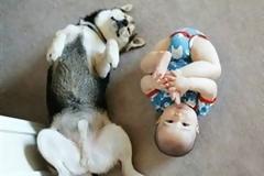 ΔΕΙΤΕ: Ο καλύτερος φίλος