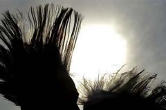 Γοτθική ακτινοβολία