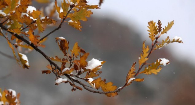 Ραγδαία επιδείνωση του καιρού με θυελλώδεις βοριάδες και παγετό - Φωτογραφία 1