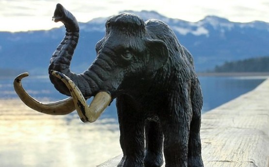 «Νεκρανάσταση»: Θα δημιουργήσουν το πρώτο υβρίδιο μαμούθ-ελέφαντα - Φωτογραφία 1