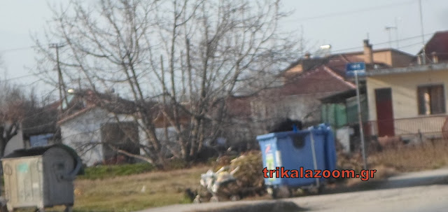 Τραγικές εικόνες φτώχειας στα Τρίκαλα - Νεαρός άντρας μπαίνει ολόκληρος μέσα στο κάδο ανακύκλωσης - Φωτογραφία 2