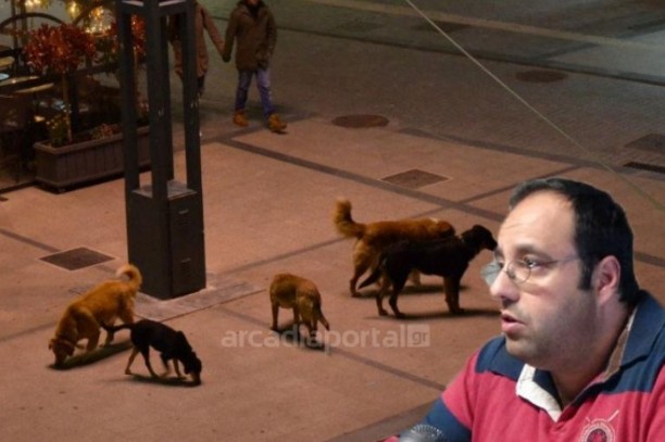 Οι εφιάλτες ενός σκύλου «έστειλαν» στο αυτόφωρο τον αντιδήμαρχο Τρίπολης - Φωτογραφία 1