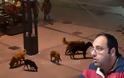 Οι εφιάλτες ενός σκύλου «έστειλαν» στο αυτόφωρο τον αντιδήμαρχο Τρίπολης