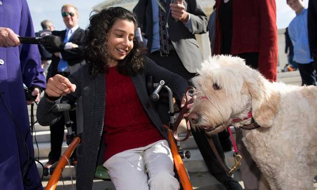 Απαγόρευσαν σε ανάπηρη μαθήτρια να παίρνει μαζί στην τάξη το σκύλο-συνοδό της - Φωτογραφία 1