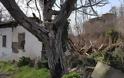 Τρίκαλα: Κατέρρευσε το σπίτι που γεννήθηκε ο Άγιος Εφραίμ