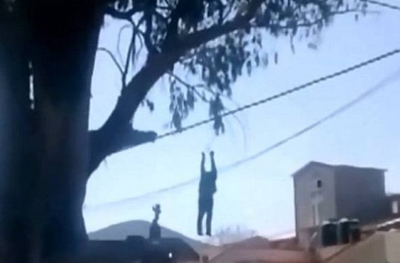 Σκληρό βίντεο: Τον έπιασαν να κλέβει και τον κρέμασαν από δέντρο - Φωτογραφία 1