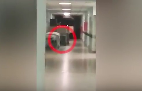 Ανατριχιαστικό βίντεο: Νοσηλεύτρια κατέγραψε το φάντασμα μικρού παιδιού σε κλινική - Φωτογραφία 1