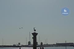 Βίντεο και φωτο: Ζεύγος F16 της Πολεμικής μας αεροπορίας πέταξε πάνω από τη Ρόδο