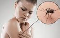 Συναγερμός στα Βαλκάνια για ασθένειες από κουνούπια – Τι γίνεται στην Ελλάδα