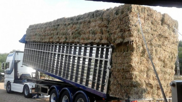 Ηράκλειο: Βρέθηκε το κλεμμένο φορτίο ζωοτροφών - Σε αποθήκη οι 25 τόνοι! - Φωτογραφία 1