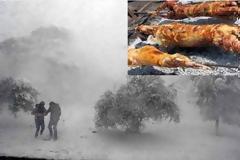 Καιρός: Έρχεται το πιο ψυχρό Πάσχα των τελευταίων 10 ετών