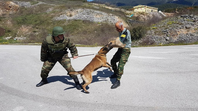 Αξιολόγηση Στοιχείων Εκπαιδευμένων Συνοδών Σκύλων - Φωτογραφία 11