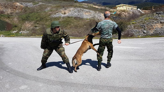 Αξιολόγηση Στοιχείων Εκπαιδευμένων Συνοδών Σκύλων - Φωτογραφία 2